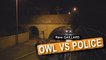 Owl Vs Police (Rémi Gaillard)