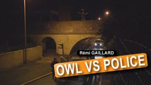 Owl Vs Police (Rémi Gaillard)