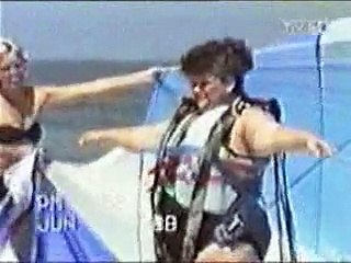 L'envol du cygne