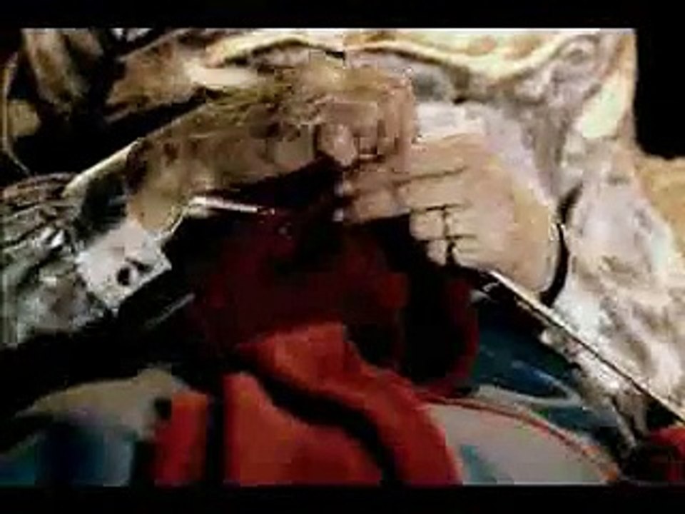 Pub Bacardi Breezer (Chat et le football)