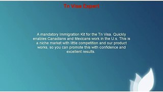 Tn Visa Expert