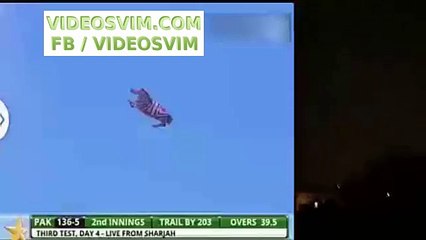 Reality of flying horse in the sky- - Video Dailymotion_(new)_(new)