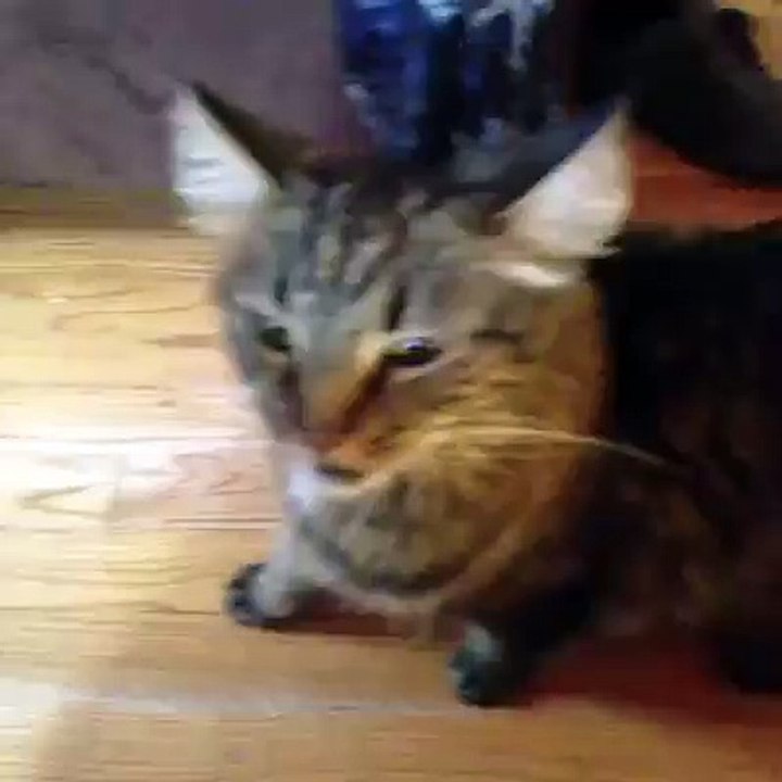 Sneezing be like