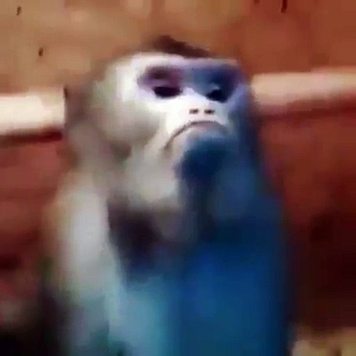 You mad bro