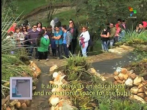 Automun - A visit to the Bogota Botanical Gardens