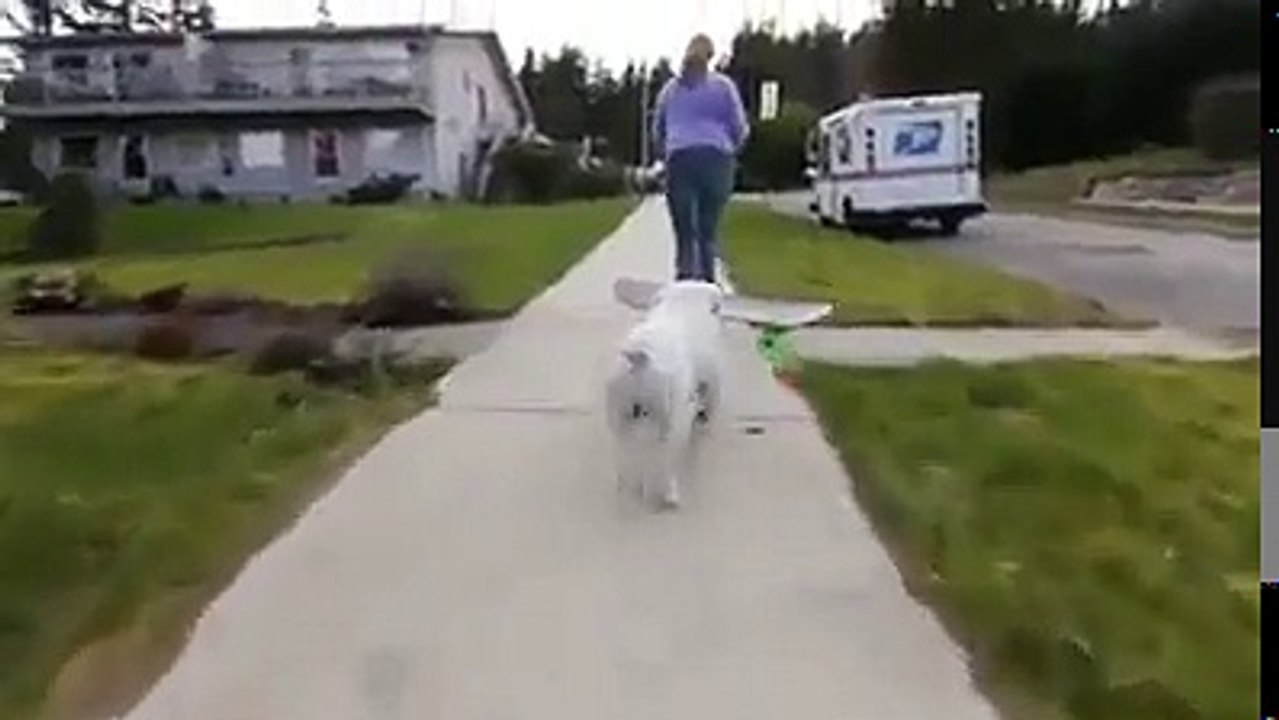 Amazing and Crazy videos  Facebook 1