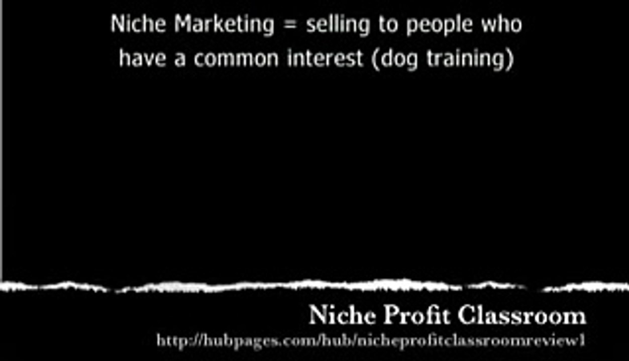 Niche Profit Classroom Review Video