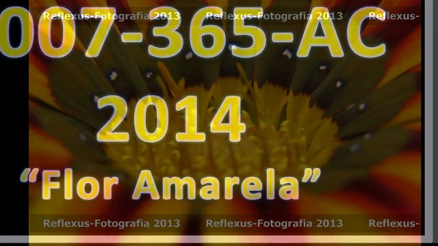 #0007-365-ac-2014-foto-flor-amarela-v1