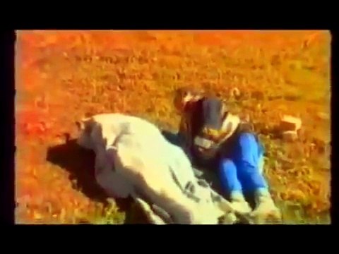 ძნელია ამ კადრებზე და სიმღერაზე ცრემლი არ მოგადგეს абхазия это грузия! აბხაზეთი საქართველოა!