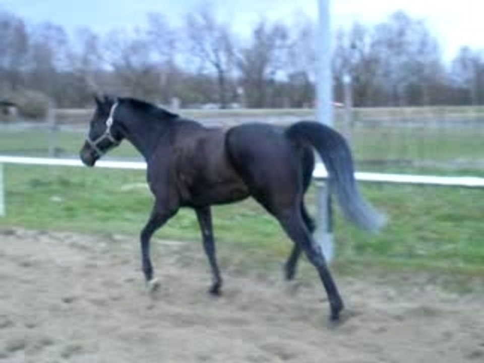 IMGP0218