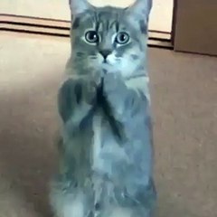 LOL - Me, when i ask money from my dad