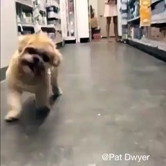 When bae reads your text and doesn't reply.