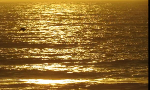 semana-004-projecto-365-ac-2014-v1