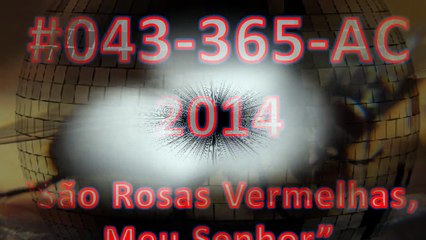 semana-007-projecto-365-ac-2014-v-a