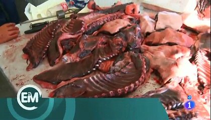 Españoles en el mundo - Groenlandia