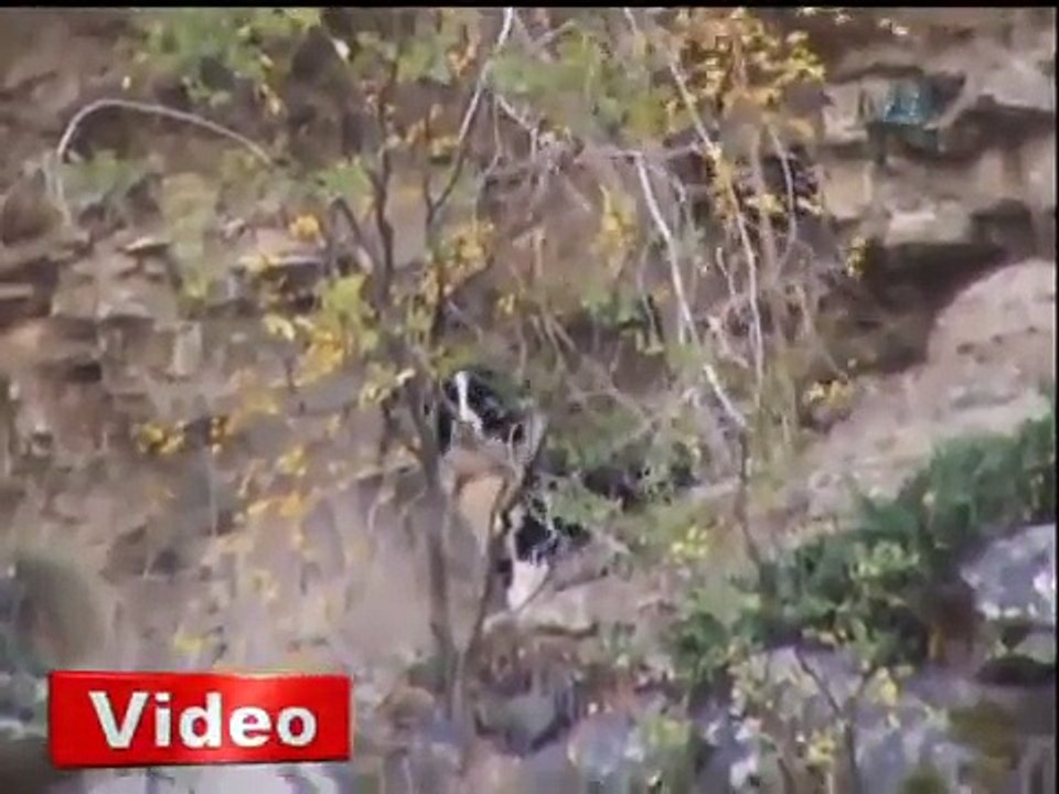 Kurtarılma anı saniye saniye kamerada