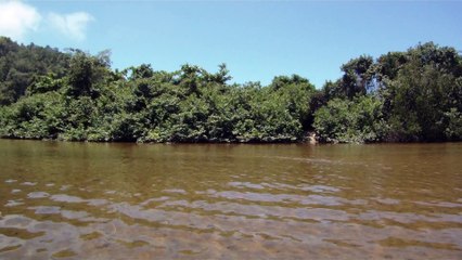 Paraíso Selvagem, Canoagem, Rio Puruba, Praia, Mares, Mergulhos, Natureza Selvagem, Bioma, Mata Atlântica, Marcelo Ambrogi, (5)