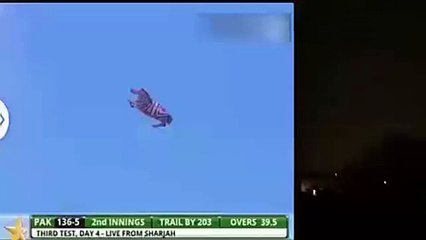 Reality of flying horse in the sky,is this a miracle- Video Dailymotion