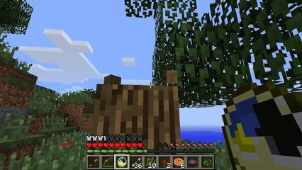 Freestyle Mutsu Flow : Ep 2 - Crashland