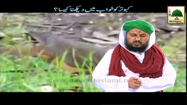 Madani Guldasta - Kaboter Khuwab Main Dekhna Kesa