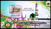 Madani Guldasta (05) - Har Cheez Sarkar Ka Hukam Manti Hai - Mufti Farooq Attari