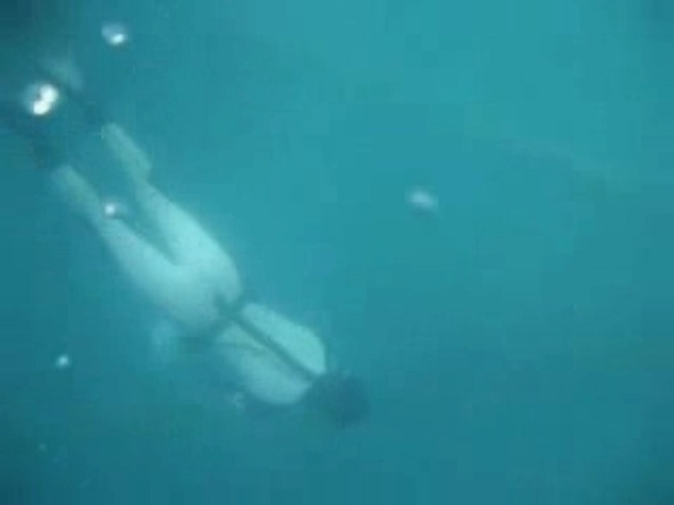 amour incroiyable de 2 poisson