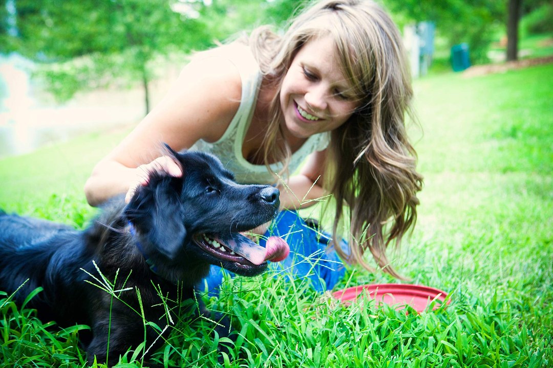 Dog Training Sydney | Dog Boarding Sydney | Dog Trainer Sydney