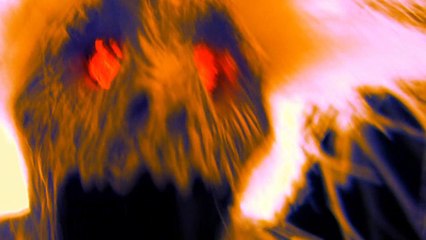 Yeti Man Pistachios Contest