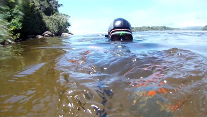 Paraíso Selvagem, Canoagem, Rio Puruba, Praia, Mares, Mergulhos, Natureza Selvagem, Bioma, Mata Atlântica, Marcelo Ambrogi, (35)