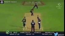 Amazing Cricket    That Is Very Interesting