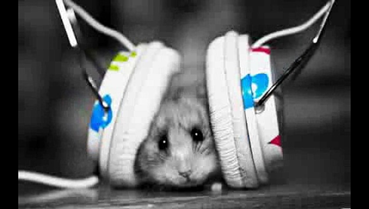 15 B Nice Electro_Dubstep music ! MrNicoLacro (1).mp4