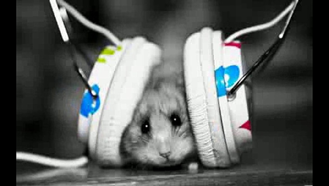 15 D Nice Electro_Dubstep music ! MrNicoLacro (1).mp4