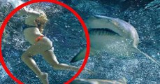 Shocking Shark Attack! Woman Attacked While Swimming By Shark