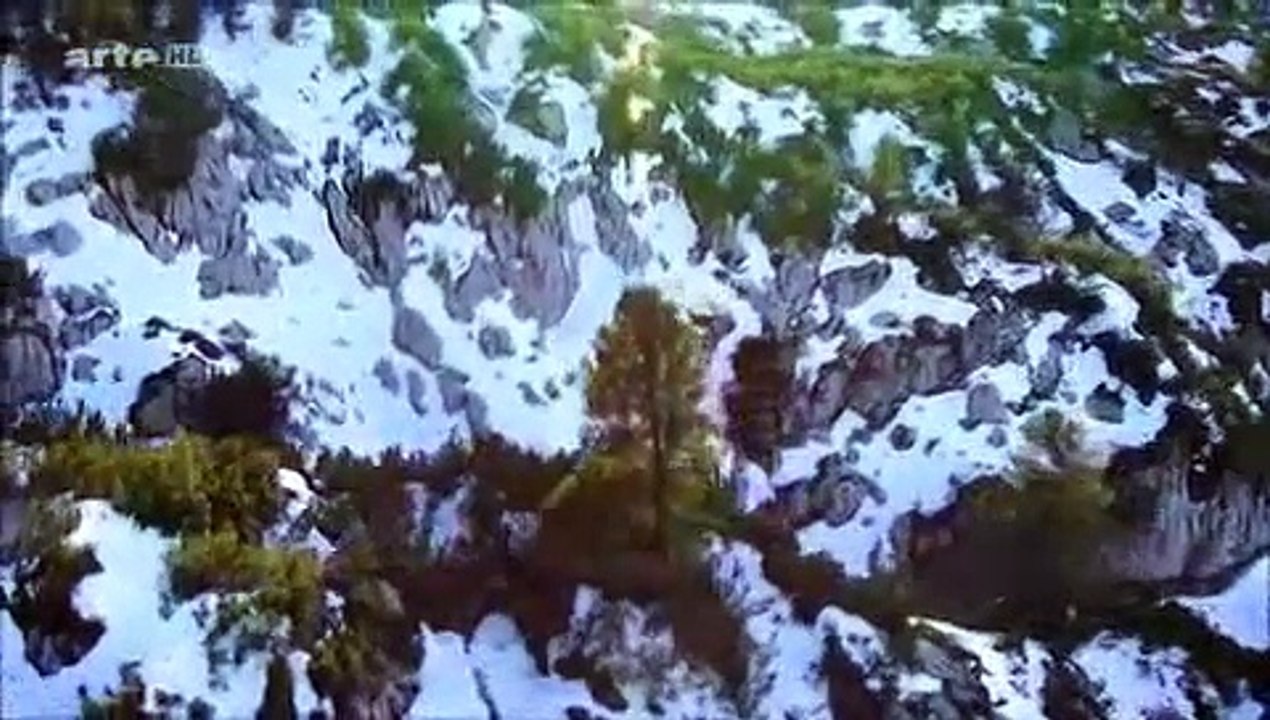 17 A Chill Out Berch.mp4