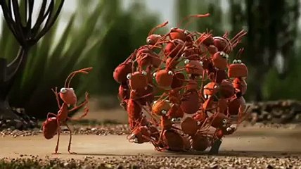 it is smarter to travel in group v amazing must watch