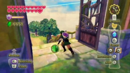 The Legend of Zelda : Skyward Sword - Partie 31 : Des Insectes!!