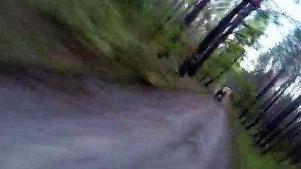 Un cycliste poursuivi par un ours dans la forêt