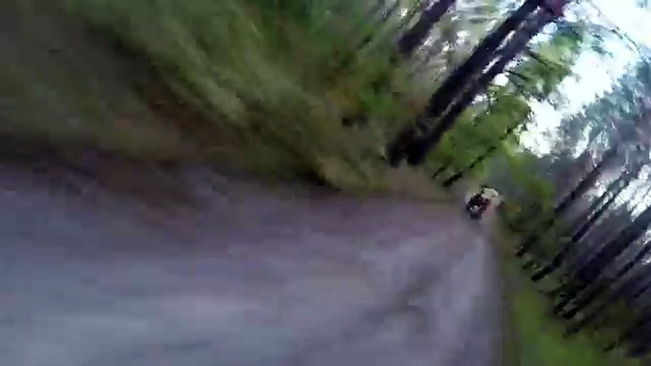 Un cycliste poursuivi par un ours dans la forêt