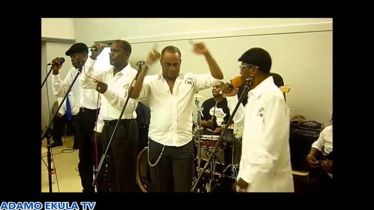 ADAMO EKULA: CONCERT AVEC ANCIENS DE ZAIKO À VILVOORDE (BELGIQUE)