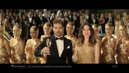 Freixenet : 100 ans de bulles