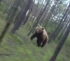Un ours course un cycliste dans les bois