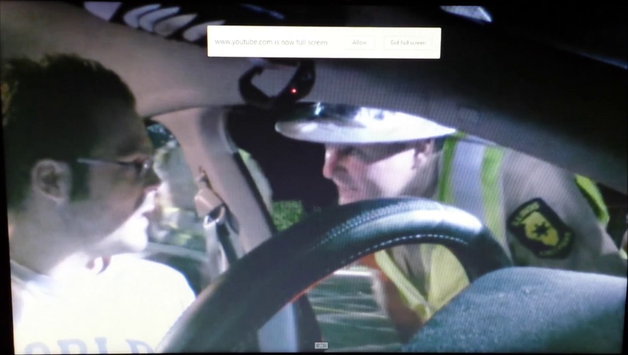 REPOST: COP FREAKS OUT AT CHECKPOINT WHEN CITIZEN RECITES CONSTITUTION