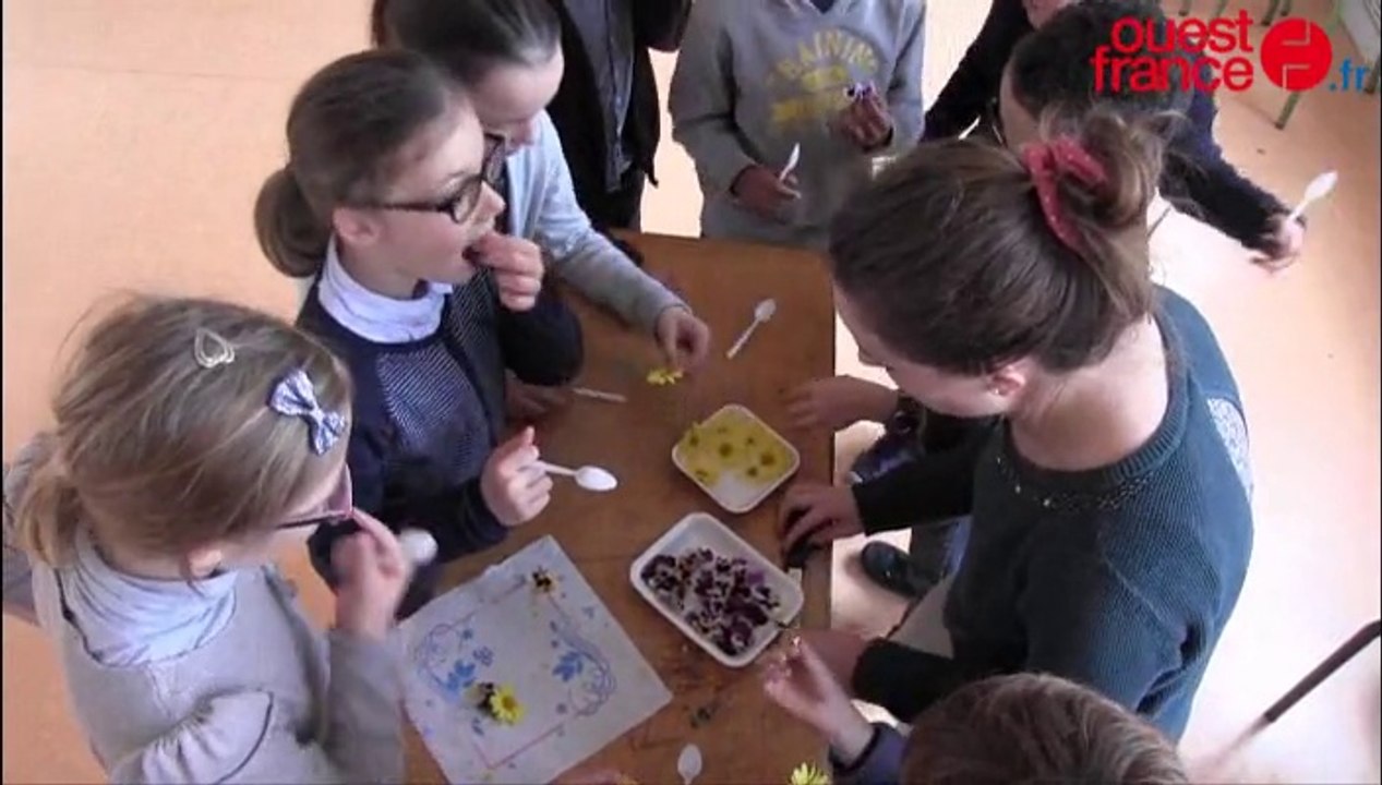 Rennes : des écoliers ont dégusté des insectes et d'autres drôles de mets