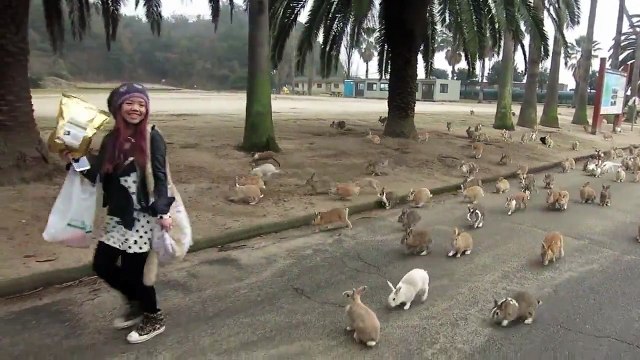 Hiç Bu Kadar Tavşan Gördünüz mü