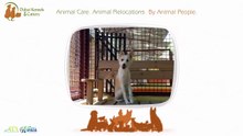 Improve Your Pets Health With DKC