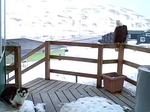 헬로우카지노＼＼「ＤＢＡ７0７。Ｃ0Ｍ」＼＼헬로우카지노」＼＼헬­로­우­카­지­노