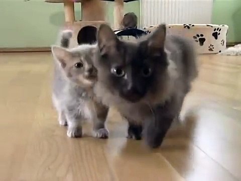 헬로우카지노＼＼「ＤＢＡ７0７。Ｃ0Ｍ」＼＼헬로우카지노」＼＼헬­로­우­카­지­노