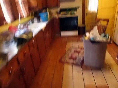 Newton, Ma. 02458 [ Wallpaper removal contractor Interior Painter]