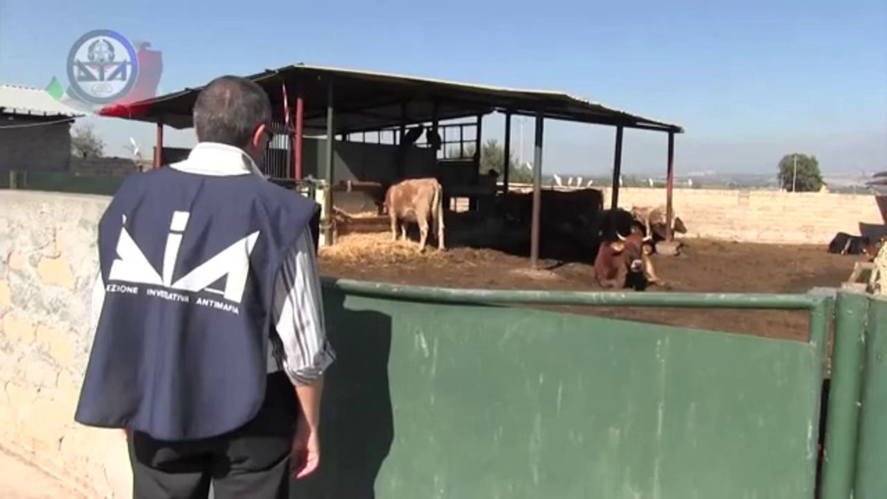 Catania - Dia sequestra beni per 3 milioni di euro al clan Carateddi