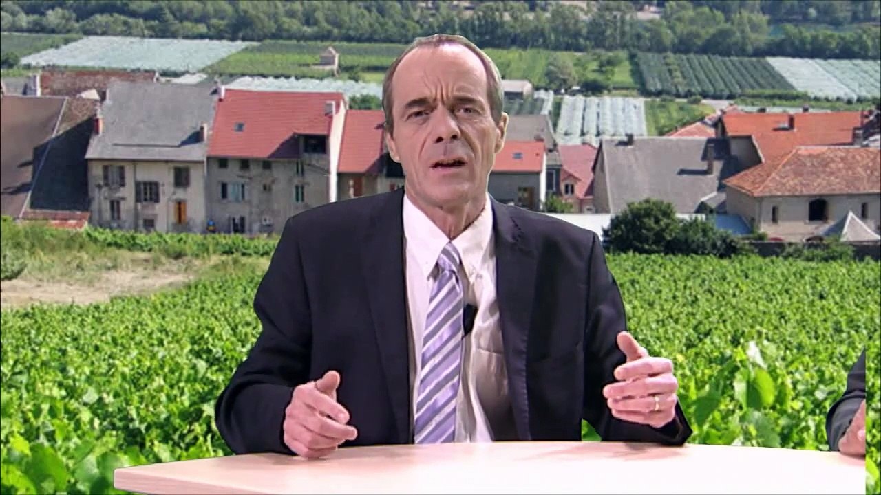 En Direct D!CI : La vigne des Alpes du Sud - Partie 1